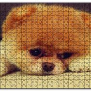 Cakapuzzle Yavru Chow Mdf 120 Parça Puzzle