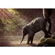 Cakapuzzle Yavru Fil Nehir ve Güneş Işınları 1000 Parça Puzzle
