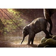 Cakapuzzle Yavru Fil Nehir ve Güneş Işınları 255 Parça Puzzle