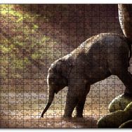 Cakapuzzle Yavru Fil Nehir ve Güneş Işınları Mdf 500 Parça Puzzle