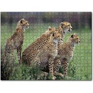 Cakapuzzle Yavrularına Eğitim Veren Anne Çita Mdf 120 Parça Puzzle