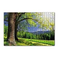 Cakapuzzle Yemyeşil Ağaçlar ve Güneş Işıkları 255 Parça Puzzle