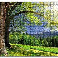 Cakapuzzle Yemyeşil Ağaçlar ve Güneş Işıkları Mdf 500 Parça Puzzle