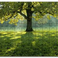 Cakapuzzle Yemyeşil Çayırdaki Yalnız Ağaç Güneş Işıkları Mdf 255 Parça Puzzle