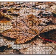 Cakapuzzle Yerde Sararmış Yapraklar Mdf 120 Parça Puzzle