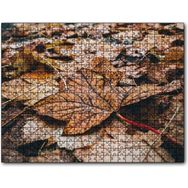 Cakapuzzle Yerde Sararmış Yapraklar Mdf 500 Parça Puzzle