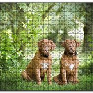 Cakapuzzle Yeşil Ağaçlar Arasındaki Kahverengi Boxerlar Mdf 500 Parça Puzzle