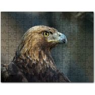 Cakapuzzle Yeşil Ayakkabı ve Içinde Yavru Kediler Karikatür 500 Parça Puzzle