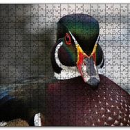 Cakapuzzle Yeşil Başlı Ördek Yakın Plan Mdf 1000 Parça Puzzle