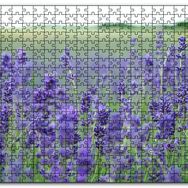 Cakapuzzle Yeşil Çayırlar ve Lavantalar Mdf 120 Parça Puzzle