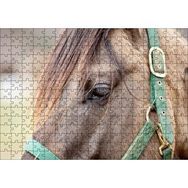 Cakapuzzle Yeşil Koşumlu Kahverengi At Yakın Çekim 120 Parça Ahşap Puzzle