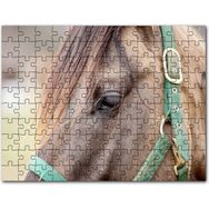 Cakapuzzle Yeşil Koşumlu Kahverengi At Yakın Çekim Mdf 1000 Parça Puzzle