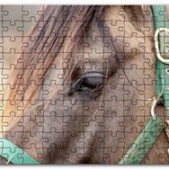 Cakapuzzle Yeşil Koşumlu Kahverengi At Yakın Çekim Mdf 500 Parça Puzzle