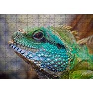 Cakapuzzle Yeşil Mavi Renkleriyle Kertenkele Yakın Çekim Mdf 255 Parça Puzzle