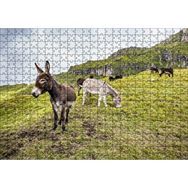 Cakapuzzle Yeşil Tepelerde Otlayan Eşekler 120 Parça Ahşap Puzzle