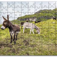 Cakapuzzle Yeşil Tepelerde Otlayan Eşekler Mdf 120 Parça Puzzle