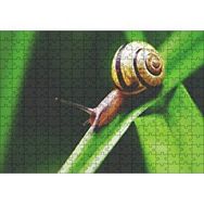 Cakapuzzle Yeşil Yaprak Üzerindeki Salyangoz Yakın Çekim Mdf 255 Parça Puzzle
