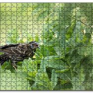 Cakapuzzle Yeşillikler İçinde Sığırcık Kuşu Görseli Mdf 120 Parça Puzzle