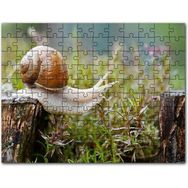 Cakapuzzle Yin Yang Sembolü ve Çin Hayvanlı Takvimi Mdf 120 Parça Puzzle