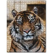Cakapuzzle Yorgun Kaplan Yakın Çekim Ahşap 500 Parça Puzzle