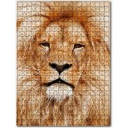 Cakapuzzle Yorgun Kral Aslan Yakın Çekim Ahşap 255 Parça Puzzle