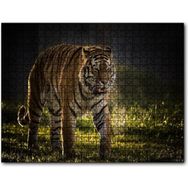 Cakapuzzle Yorkshire Vahşi Yaşam Parkı Kaplan Vladimir 255 Parça Puzzle