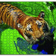 Cakapuzzle Yosunlu Suda Kaplan Ahşap 500 Parça Puzzle