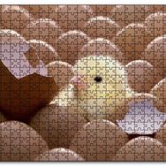 Cakapuzzle Yumurtalar ve Kırık Yumurta İle Sarı Civciv Mdf 120 Parça Puzzle