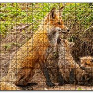 Cakapuzzle Yuvanın Girişinde Anne Tilki ve Yavruları Mdf 1000 Parça Puzzle