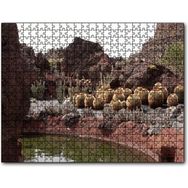Cakapuzzle Yuvarlak Kaktüsler ve Kayalar Mdf 500 Parça Puzzle