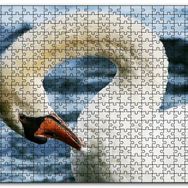Cakapuzzle Zarif Beyaz Kuğu Yakın Plan Mdf 1000 Parça Puzzle