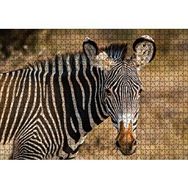 Cakapuzzle Zebra ve Muhteşem Dalgalı Şeritleri 120 Parça Ahşap Puzzle