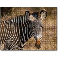 Cakapuzzle Zebra ve Muhteşem Dalgalı Şeritleri Mdf 1000 Parça Puzzle