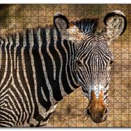 Cakapuzzle Zebra ve Muhteşem Dalgalı Şeritleri Mdf 500 Parça Puzzle
