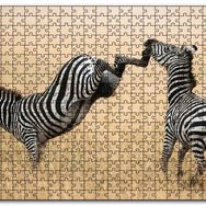 Cakapuzzle Zebranın Tehlikeli Tekmesi Mdf 120 Parça Puzzle
