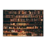 Cakapuzzle Zengin Kitaplık 120 Parça Puzzle