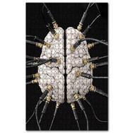 Cakapuzzle Zihin Beyin Kontrol Figürü Görseli Ahşap 255 Parça Puzzle