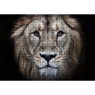 Cakatablo Erkek Aslan Siyah Zemin 1000 Parça Puzzle
