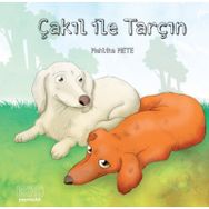 Çakıl ile Tarçın - Mehlika Mete