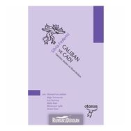 CALIBAN VE CADI KADINLAR, BEDEN VE İLKSEL BIRIKIM - SILVIA FEDERICI