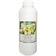 Çalıkoğlu Bitkisel Ürünler 1 kg Okaliptus Yağı