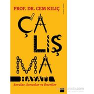 Çalışma Hayatı - Cem Kılıç