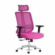 Calitte Spark Başlıklı Pembe-Krom Yönetici Çalışma Koltuğu