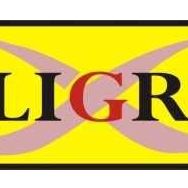 CALLIGRAPH CF313A KIRMIZI MUADİL TONER