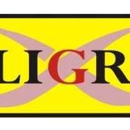 Calligraph IRC3325/3525 (C-EXV-49) Sarı Muadil Toner