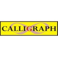 Calligraph Pantum PA210/PA211/P2200/P2500/M6500/M6550/M6600 1600 Sayfa Muadil Toner