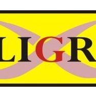 CALLIGRAPH Q6472A SARI MUADİL TONER