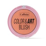 Callista Color Art Blush No:120 So Peachy Allık