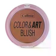 Callista Color Art Blush No:130 Copper My Way Allık