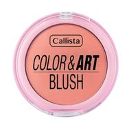 Callista Color Art Blush No:180 Pink Perfection Allık